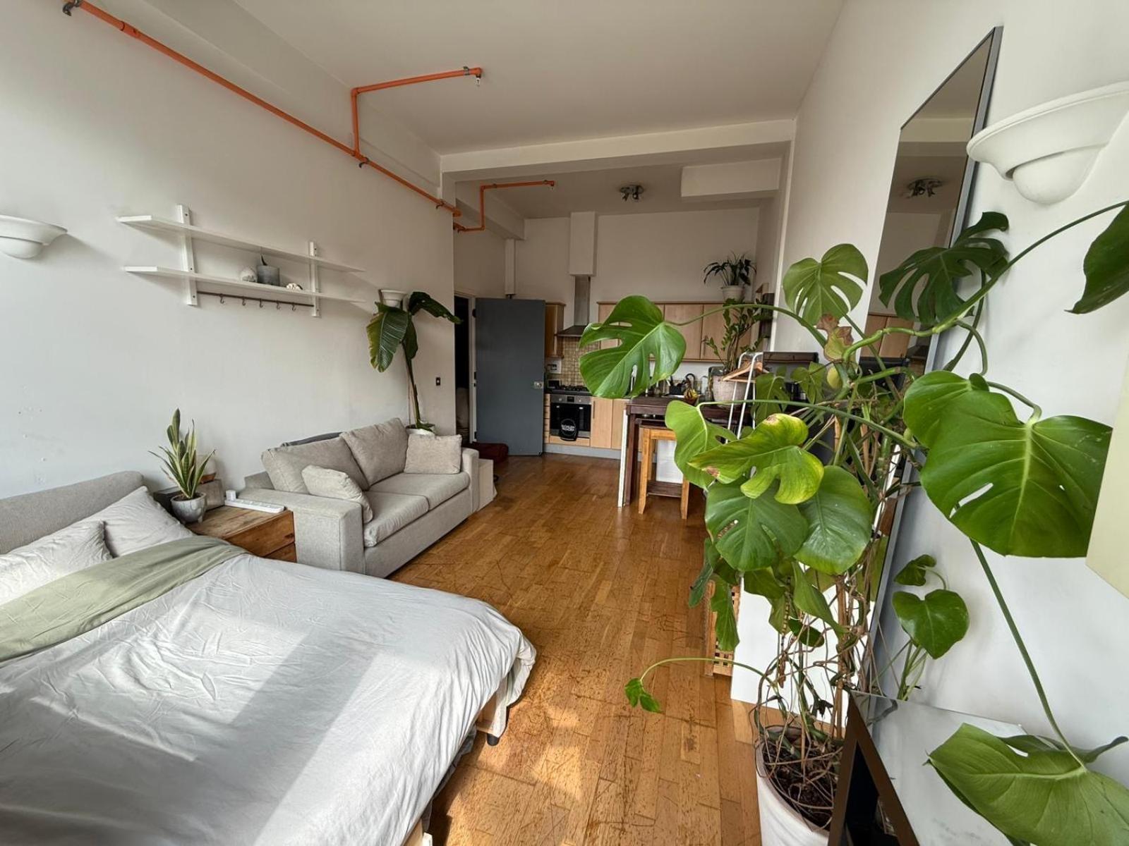 Cosy Private Room With Shared Bathroom Facilities London Eksteriør billede